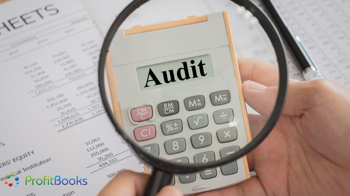 Auditing Profit And Loss