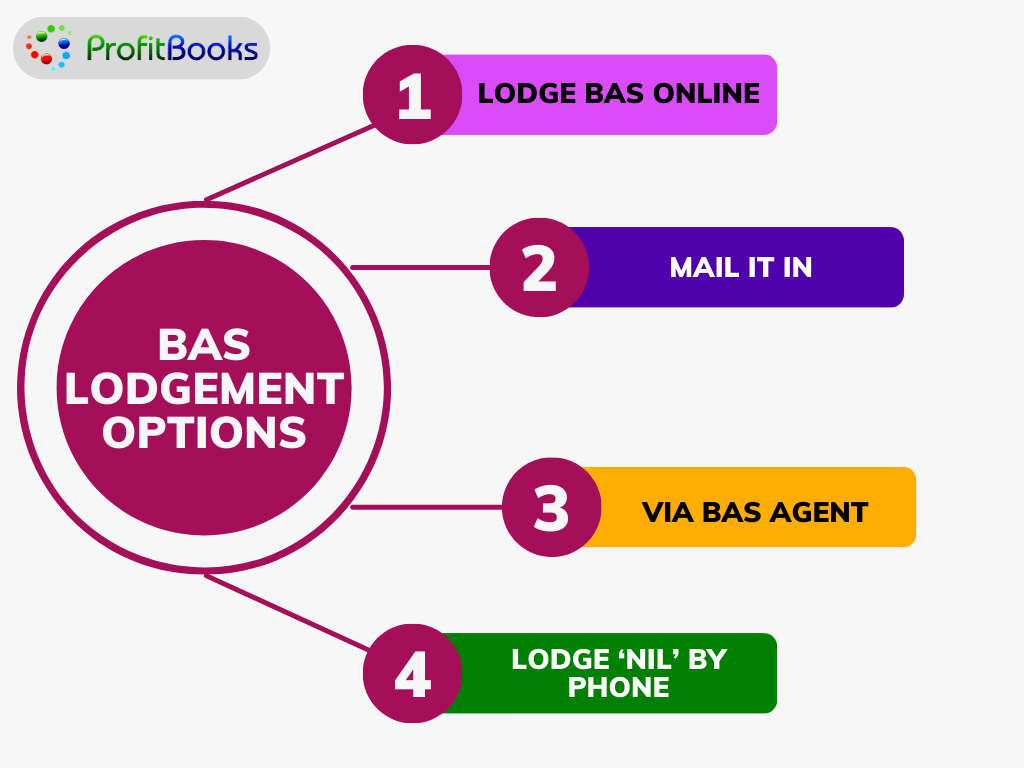 Bas (Busniness Activity Statement) Lodgement Options